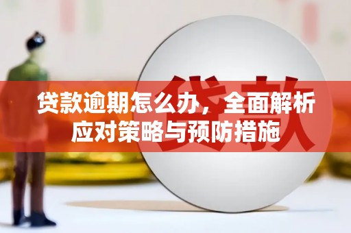 武义县贷款逾期怎么办，全面解析应对策略与预防措施