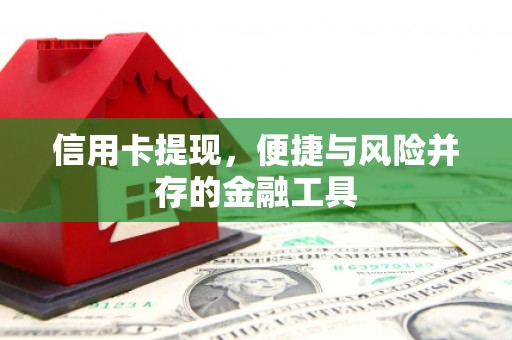 错那信用卡提现，便捷与风险并存的金融工具