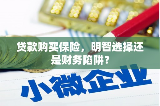 岫岩贷款购买保险，明智选择还是财务陷阱？