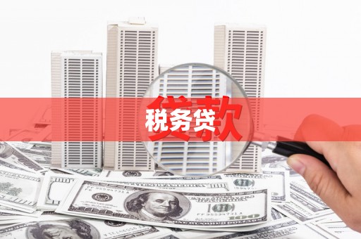 芦洲税务贷