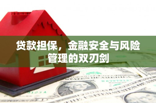 长岭贷款担保，金融安全与风险管理的双刃剑