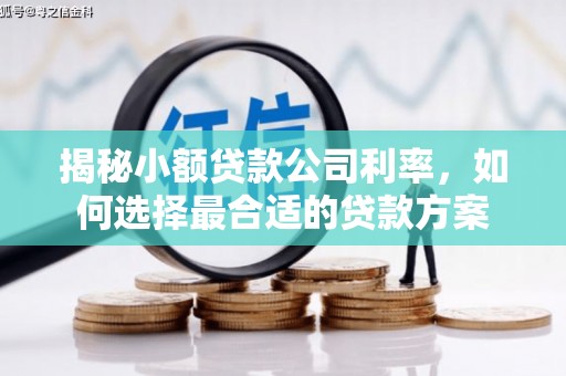 昌图揭秘小额贷款公司利率，如何选择最合适的贷款方案