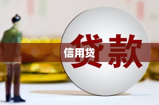 双柏信用贷