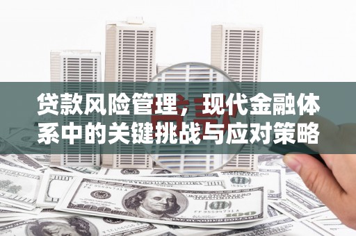 夏县贷款风险管理，现代金融体系中的关键挑战与应对策略