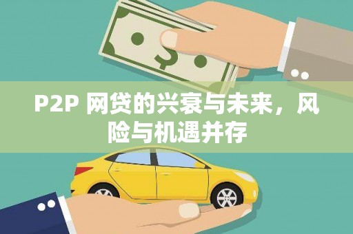 汝南P2P 网贷的兴衰与未来，风险与机遇并存