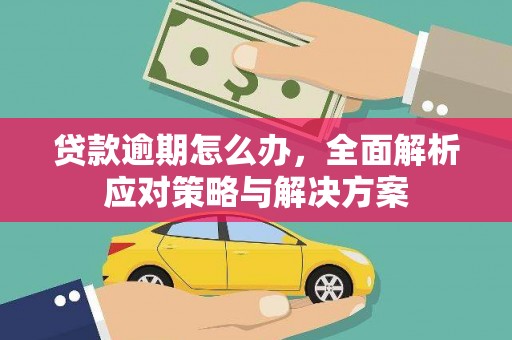 松北贷款逾期怎么办，全面解析应对策略与解决方案