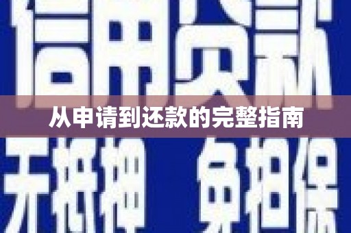 贞丰从申请到还款的完整指南