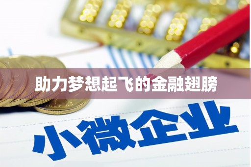 学甲助力梦想起飞的金融翅膀
