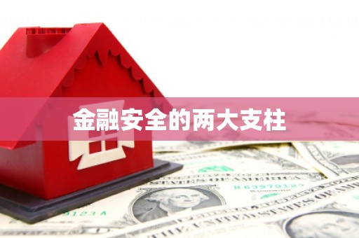 察雅金融安全的两大支柱