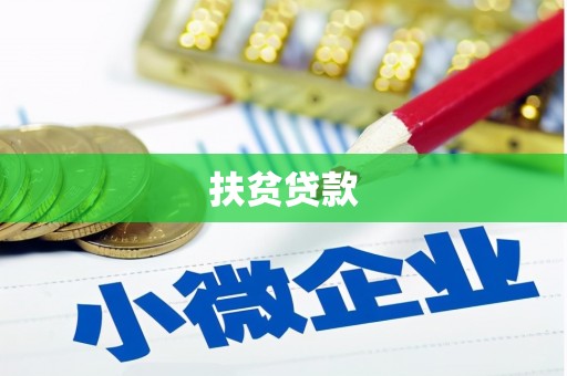 津南扶贫贷款