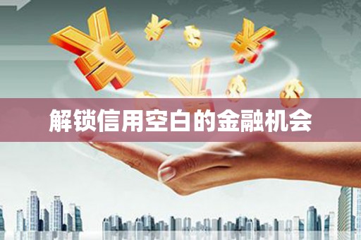 曲水解锁信用空白的金融机会