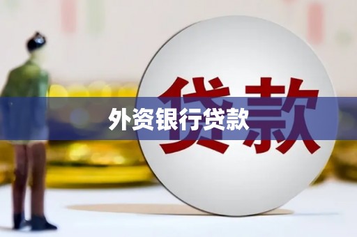 平顶山外资银行贷款