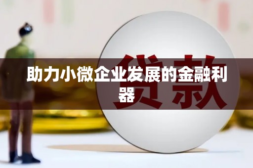 阿莲助力小微企业发展的金融利器
